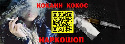 крисы Можга