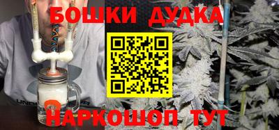 крисы Можга