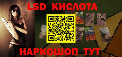 крисы Можга