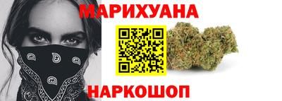 крисы Можга