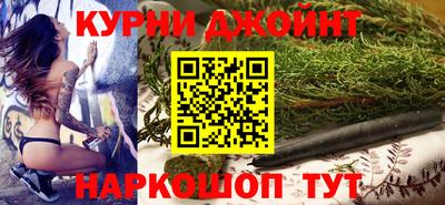 крисы Можга
