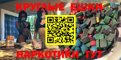 крисы Можга