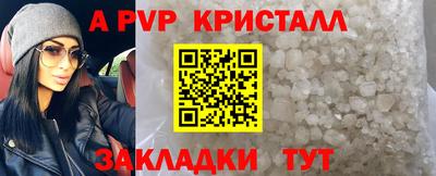 крисы Можга