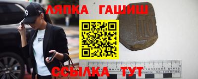 крисы Можга