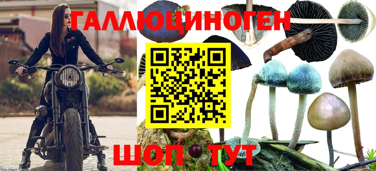 Псилоцибиновые грибы ЛСД Сергиев Посад