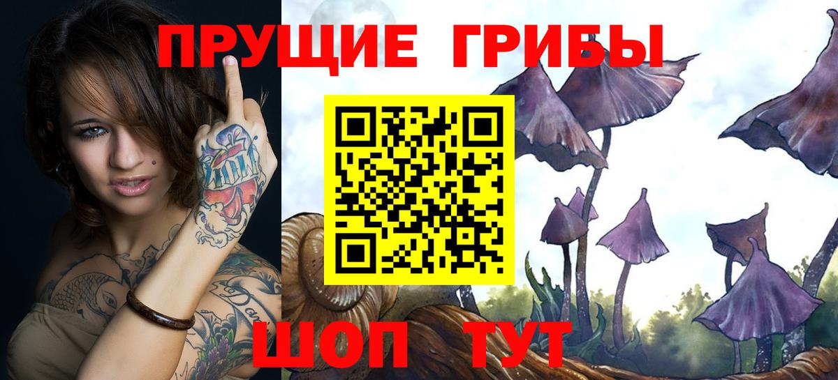 Псилоцибиновые грибы мицелий  Вход с VPN  Сергиев Посад 
